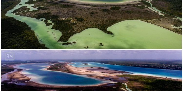 NO REQUIERE DESAZOLVE LAGUNA DE BACALAR