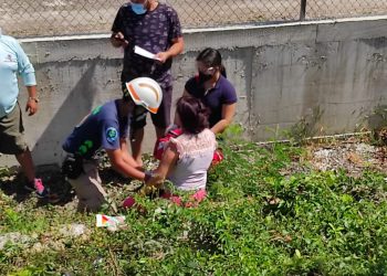 MUJER VUELCA SU VEHÍCULO EN&nbsp; LA BARDA PERIMETRAL DEL AEROPUERTO INTERNACIONAL DE CHETUMAL