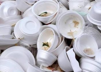 CANACO PEDIRÁ UNA NUEVA PRÓRROGA PARA DEJAR DE UTILIZAR DESECHABLES