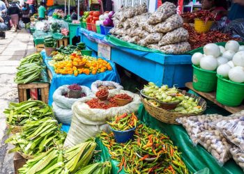 AGROALIMENTOS DETONARÁN CON TREN MAYA