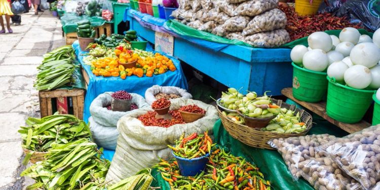 AGROALIMENTOS DETONARÁN CON TREN MAYA