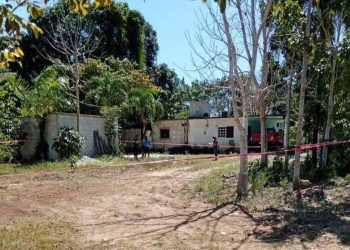 HALLAN RESTOS HUMANOS EN ÁLVARO OBREGÓN CUANDO ERAN DEVORADOS POR PERROS