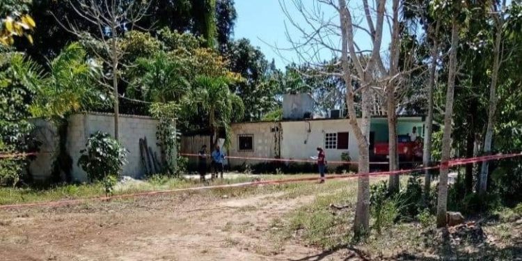 HALLAN RESTOS HUMANOS EN ÁLVARO OBREGÓN CUANDO ERAN DEVORADOS POR PERROS