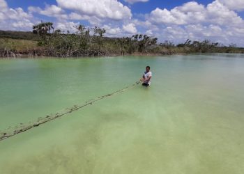 MARINA DETECTA Y RETIRA REDES DE PESCA FURTIVA