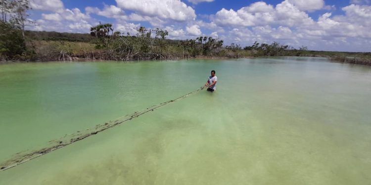 MARINA DETECTA Y RETIRA REDES DE PESCA FURTIVA