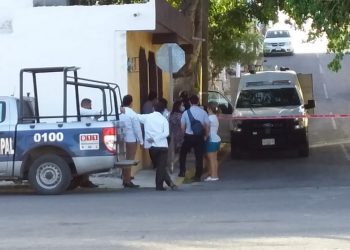 HOMBRE SE SUICIDA AHORCÁNDOSE EN UN ÁRBOL DE AGUACATE