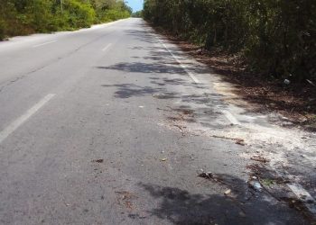 AVANZAN EN UN 50 POR CIENTO LOS TRABAJOS DE LIMPIEZA EN LA AVENIDA QUÍMICO-PASTRANA EN RANCHO VIEJO