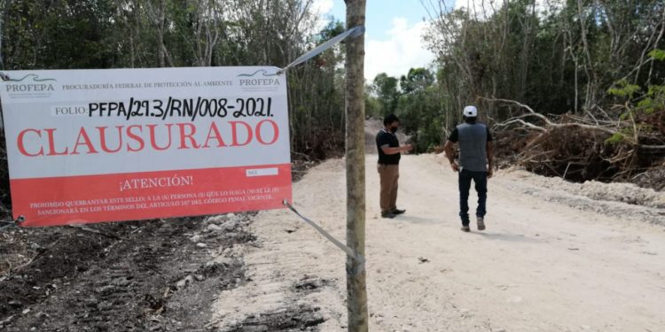 PROFEPA CLAUSURÓ CAMINO QUE CONSTRUÍA EL COMISARIADO EJIDAL DE JUAN SARABIA