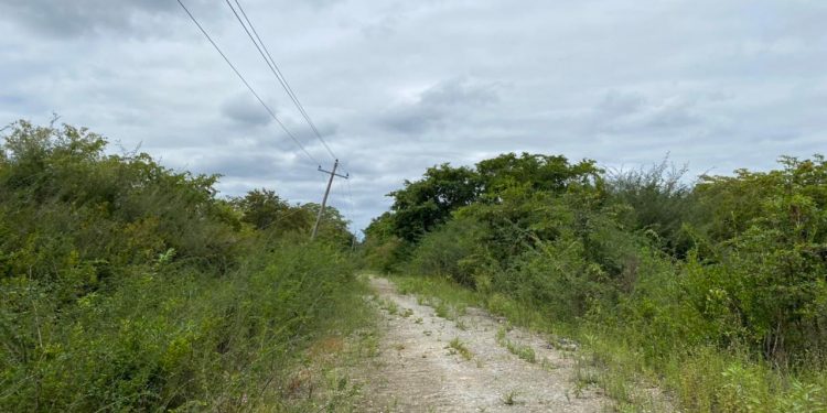 A PUNTO DE CAER ALGUNOS POSTES EN COMUNIDADES DE FELIPE CARRILLO PUERTO