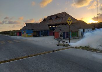 LA SESA REALIZA OPERATIVO EN SIETE MUNICIPIOS DE QUINTANA ROO PARA PREVENIR ENFERMEDADES TRANSMITIDAS POR VECTOR