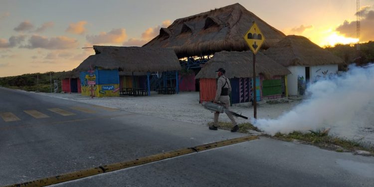 LA SESA REALIZA OPERATIVO EN SIETE MUNICIPIOS DE QUINTANA ROO PARA PREVENIR ENFERMEDADES TRANSMITIDAS POR VECTOR