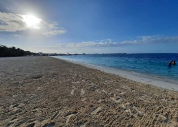 SE DECLARA LISTA LA ZOFEMAT EN ISLA MUJERES ANTE INICIO DE LA TEMPORADA DE SARGAZO