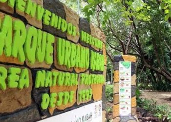 UN NUEVO ECO-RESCATE DE ECOCE, AHORA EN CANCÚN