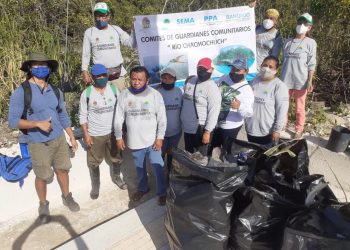 REALIZAN REFORESTACIÓN EN LA LAGUNA MANATÍ EN CANCÚN