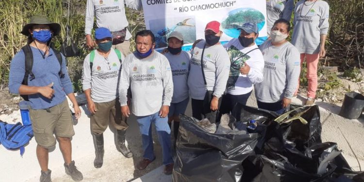 REALIZAN REFORESTACIÓN EN LA LAGUNA MANATÍ EN CANCÚN