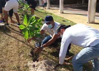 REFORESTA GOBIERNO MUNICIPAL ESPACIOS PÚBLICOS EN ISLA MUJERES