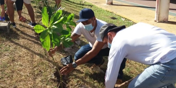 REFORESTA GOBIERNO MUNICIPAL ESPACIOS PÚBLICOS EN ISLA MUJERES