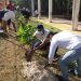 REFORESTA GOBIERNO MUNICIPAL ESPACIOS PÚBLICOS EN ISLA MUJERES