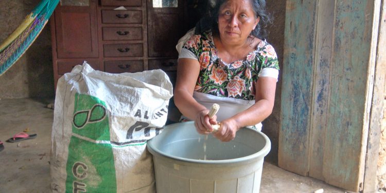 ACUDIRÁN REPRESENTANTES DE PUEBLOS MAYAS A FORO CONVOCADO POR LA CÁMARA DE DIPUTADOS