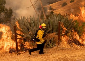 INCENDIO FORESTAL EN COAHUILA Y NUEVO LEÓN OBLIGA A DESALOJAR A UNAS 400 PERSONAS