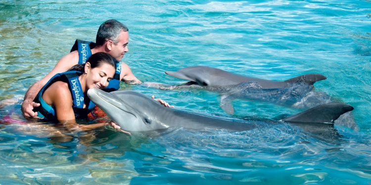 REGRESA INICIATIVA “DISFRUTA Y AYUDA” DE DELPHINUS PARA BENEFICIAR A MUJERES DE LA CASA HOGAR DE VIFAC, A.C. CANCÚN