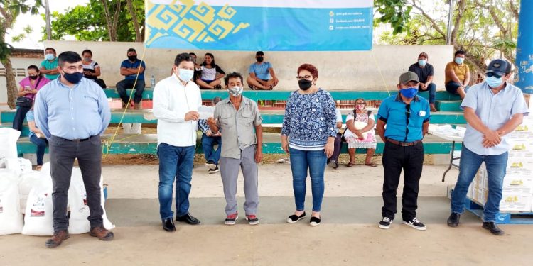 PRODUCTORES APÍCOLAS DE JOSÉ MARÍA MORELOS RECIBEN APOYOS DEL GOBIERNO DEL ESTADO