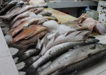 SUSPENDE COFEPRIS CUATRO ESTABLECIMIENTOS POR TENER PRODUCTO EN MAL ESTADO