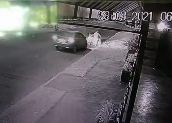 ATROPELLAN A “CHINTO” Y EL RESPONSABLE HUYE DEL LUGAR
