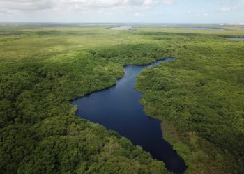 CONSERVACIÓN DE PROPIEDAD EJIDAL ES NECESARIA PARA PROTEGER LOS RECURSOS NATURALES