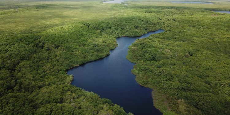 CONSERVACIÓN DE PROPIEDAD EJIDAL ES NECESARIA PARA PROTEGER LOS RECURSOS NATURALES
