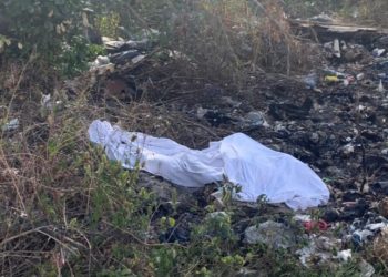 ENCUENTRAN CUERPO ENSABANADO EN LA SUPERMANZANA 308 EN CANCÚN