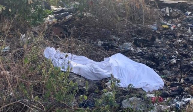 ENCUENTRAN CUERPO ENSABANADO EN LA SUPERMANZANA 308 EN CANCÚN