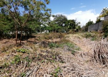 ALEJANDRO RIVERA PRETENDE “REGALAR” A SU FAMILIAR UNA CALLE DE CHETUMAL