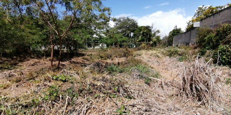 ALEJANDRO RIVERA PRETENDE “REGALAR” A SU FAMILIAR UNA CALLE DE CHETUMAL