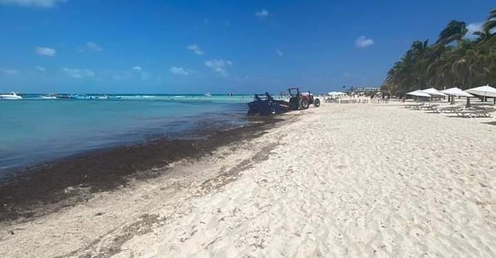 CONTINÚAN TRABAJOS PARA PRESERVAR PLAYAS DE ISLA MUJERES EN ÓPTIMAS CONDICIONES