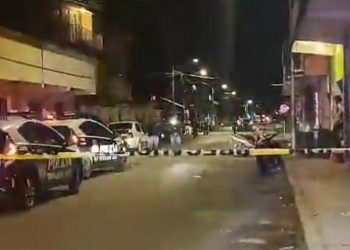 BALEAN DE NUEVO DOMICILIO DE “LOS MASEROS”  EN COZUMEL