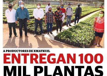 Periódico Yucatán #28 Año VII