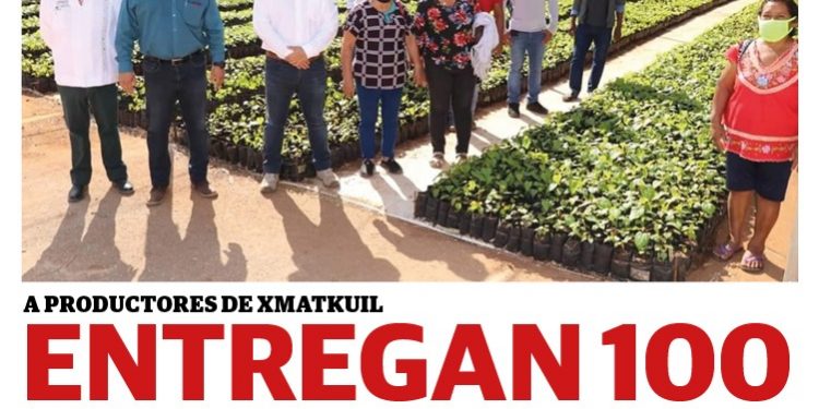 Periódico Yucatán #28 Año VII