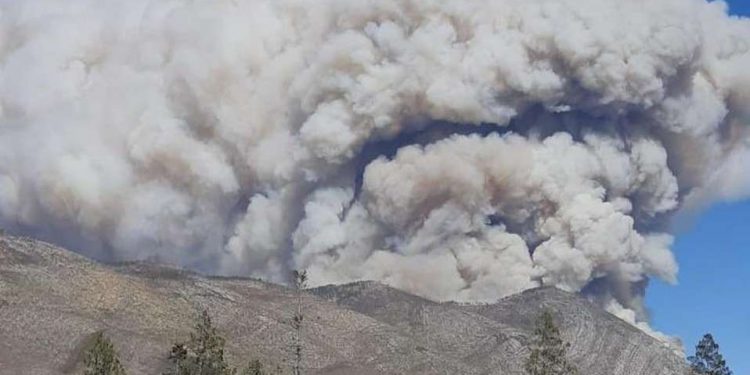 INCENDIO EN COAHUILA Y NUEVO LEÓN AFECTA UNAS 7 MIL HECTÁREAS