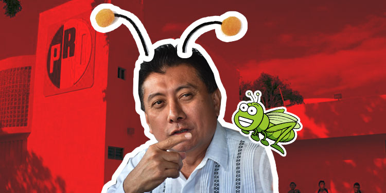 Panistas no apoyarán a Chucho Pool, lo ven como un «chapulín y traidor»