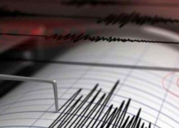 SISMO DE MAGNITUD 6.9 SACUDE COSTAS DE NUEVA ZELANDA