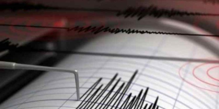 SISMO DE MAGNITUD 6.9 SACUDE COSTAS DE NUEVA ZELANDA
