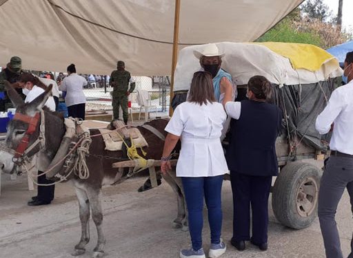 ABUELITO LLEGÓ EN BURRO PARA VACUNASE CONTRA COVID-19 EN TAMAULIPAS