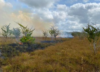 LIQUIDAN INCENDIOS FORESTALES EN PUERTO MORELOS