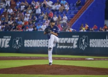 BRAZOS IMPORTANTES DE TIGRES PARA EL 2021