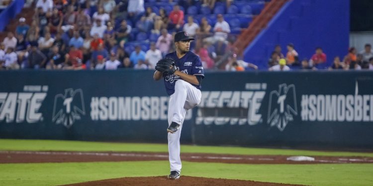 BRAZOS IMPORTANTES DE TIGRES PARA EL 2021