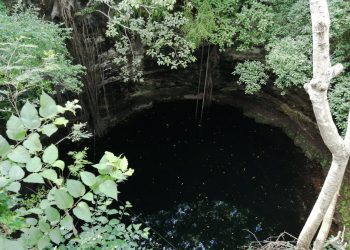 MENOR YUCATECO ENTRA A CENOTE EN LA ZONA MAYA Y MUERE AHOGADO