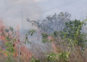 LLUVIAS EN LAZARO CARDENAS SOFOCAN INICIOS DE LO QUE SERÍA UN INCENDIO
