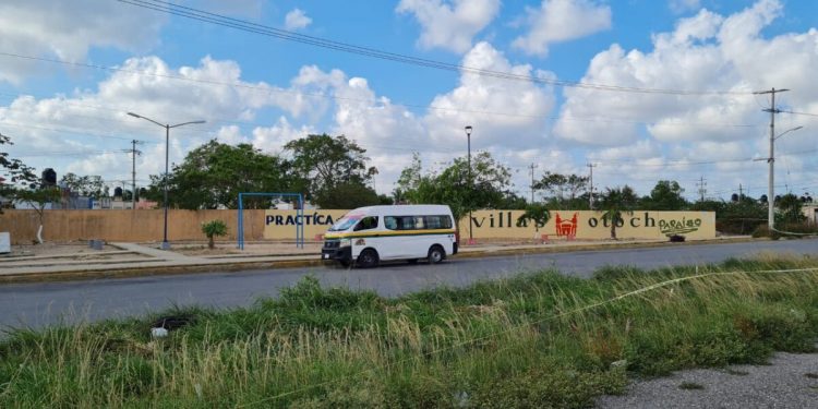 BALEAN COMBI EN LA REGIÓN 259 DE CANCÚN