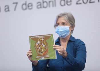 CREAN EN YUCATÁN MANUAL PARA LA PREVENCIÓN DE VIOLENCIA CONTRA NIÑAS CON DISCAPACIDAD